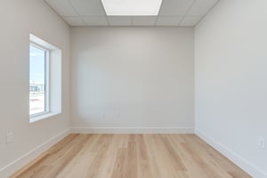 29445958