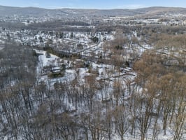 29446592