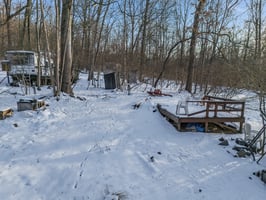 29449138