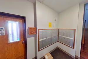 29484151
