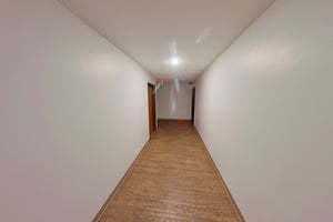 29484150