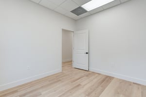 29446553