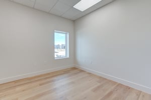 29446539