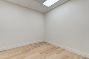 29446545