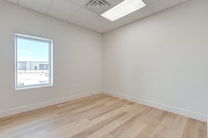 29446541