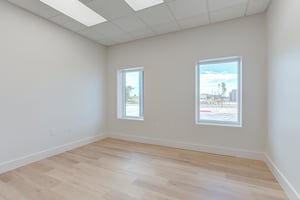 29446554