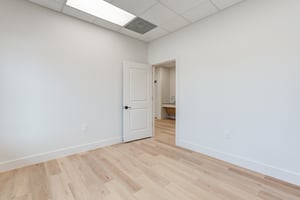 29446555