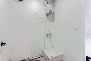 29446562
