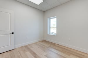 29446542