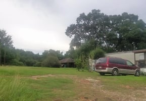 29446814