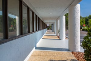 29447436