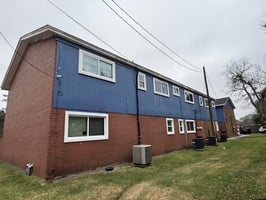 29447446