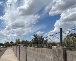 29448645