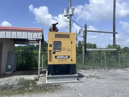 29449273