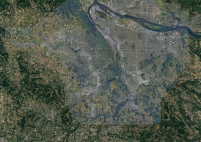 29449431