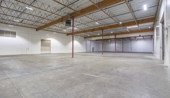 29449750