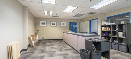 29449748