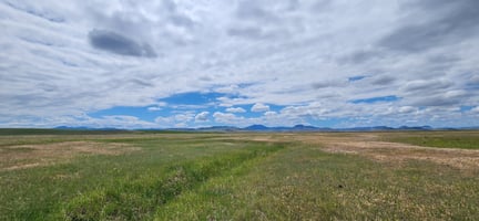29451249