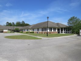 29456402