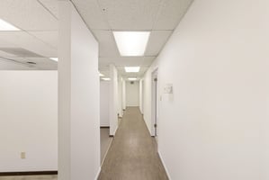 29456626