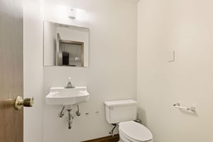29456651
