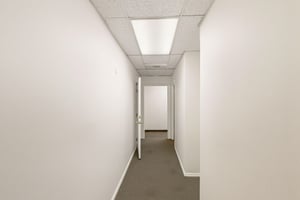 29456632