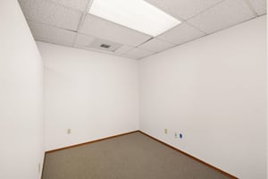 29456623