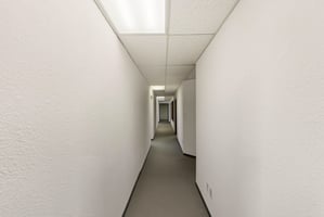 29456675
