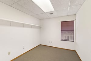 29456658
