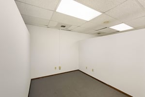 29456624