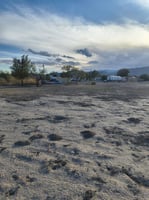 29456752