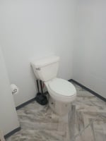 29456797