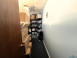 29459232