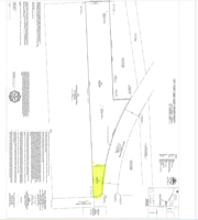 29480282