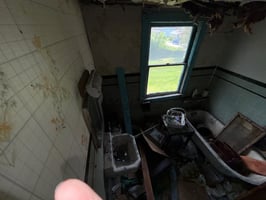 29466210