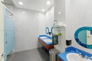 29467355