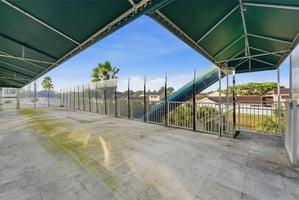 29467352