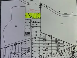 29472696