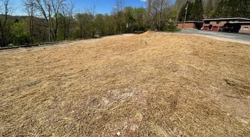 29477468