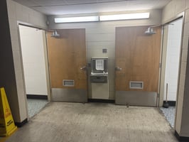 29481056
