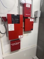 29481052