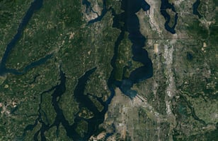 29481101