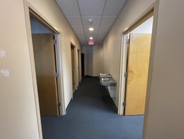 29481545