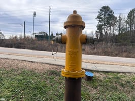 29482584