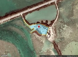 29545739