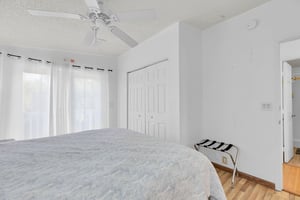29545753
