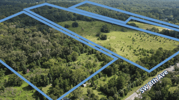 29483931