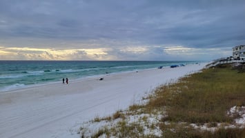 29484212