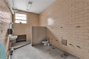 29484886