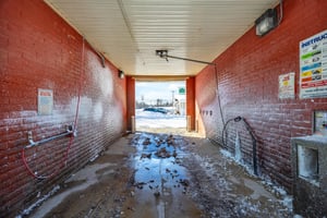 29485161